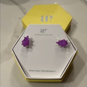 BP Vibrant Purple Earrings